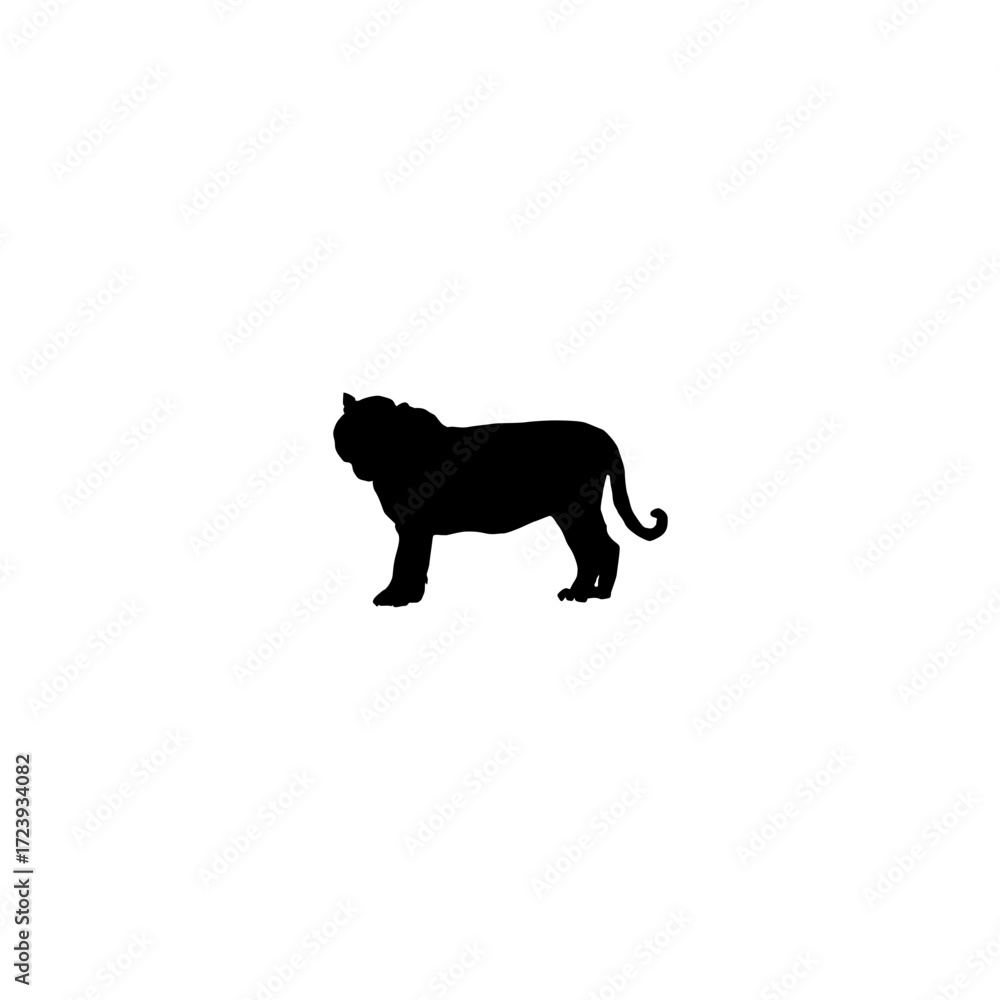 Obraz premium A clean, bold silhouette of a tiger standing in profile view against a plain white background.