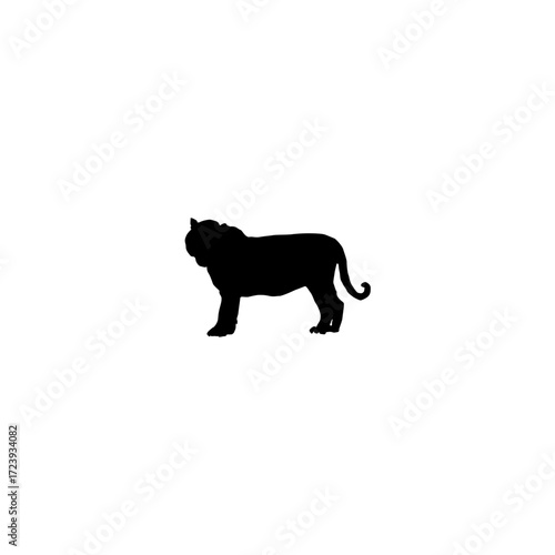 A clean, bold silhouette of a tiger standing in profile view against a plain white background.