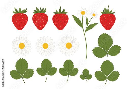 A collection of fresh strawberries and daisy flowers.