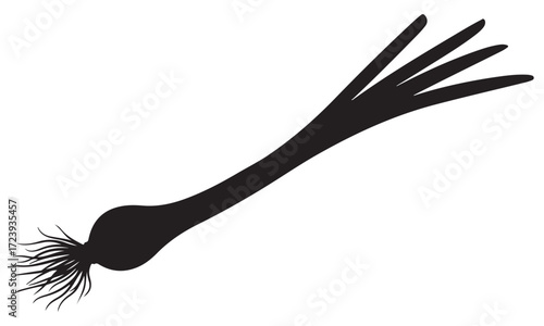 Black Silhouette of a Fresh Scallion