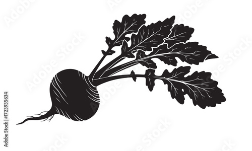 Black Silhouette Illustration of a Fresh Beet with Leaves
