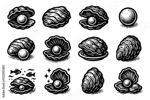 Vintage style oysters and pearls with detailed shells set on white background