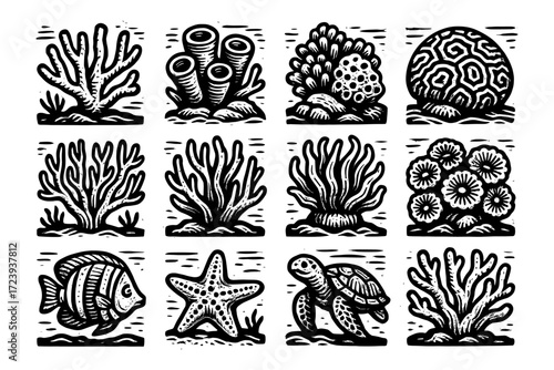 Black and white ocean life sketches featuring coral reefs, fish, and sea creatures