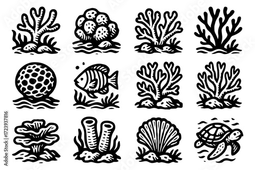 Hand-drawn marine life: black and white sea creatures and coral designs