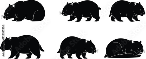 wombat, marsupial, wildlife, animal, mammal, silhouette, icon, vector, illustration, black, white, nature, walking, standing, resting, posture, anatomy, exotic, Australia, study, design