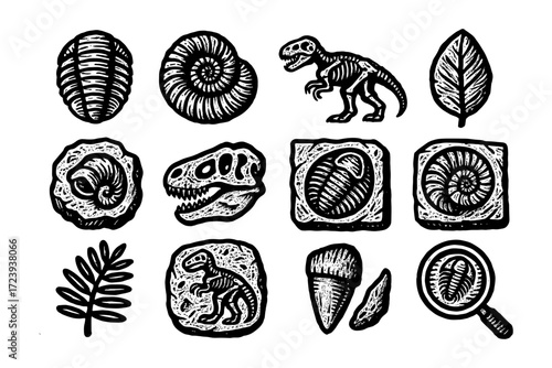 Hand-drawn fossil icons: dinosaurs, leaves, and shells in detailed black and white