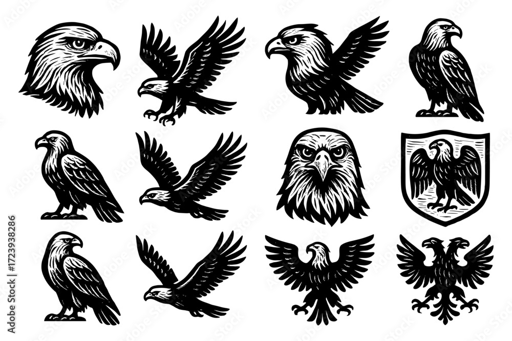 Obraz premium Majestic eagle collection: intricate black and white designs