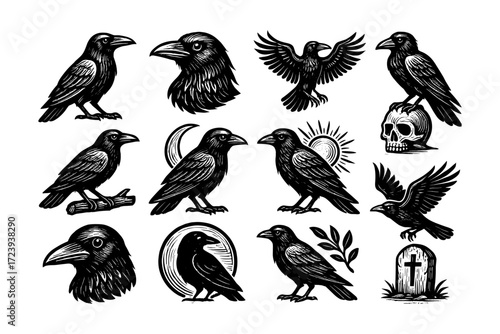 Vintage raven art collection: detailed crow illustrations with gothic elements