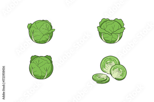Cabbage variations: fresh whole and sliced green vegetable