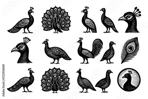 Ornamental peacock silhouette collection featuring intricate patterns and detailed features