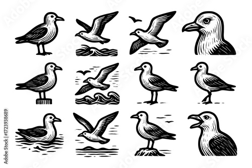 Vintage seagull illustrations: coastal wildlife in retro woodcut style