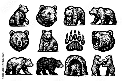 Hand-drawn bear designs: various poses and expressions in black and white