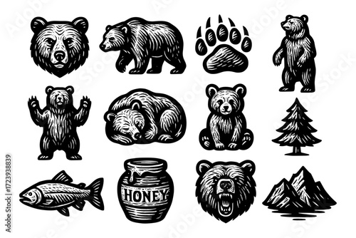 Vintage bear emblems: hand-drawn wildlife icons with forest and nature elements