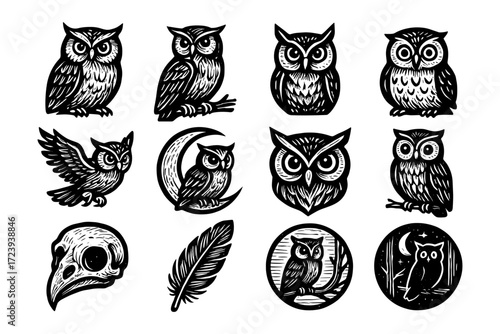 Collection of detailed owl designs in black and white ink style