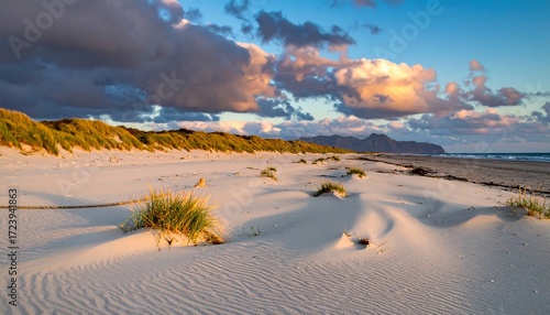 Fototapeta Naklejka Na Ścianę i Meble -  Coastal dunes at sunset