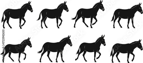 donkey, mule, animal, livestock, mammal, silhouette, walk, gait, cycle, sequence, icon, vector, illustration, black, white, posture, anatomy, transport, farm, study, design