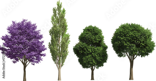 Collection of four different decorative tree illustrations, realistic foliage design, purple and green leaves, summer garden landscape, eco friendly nature background
