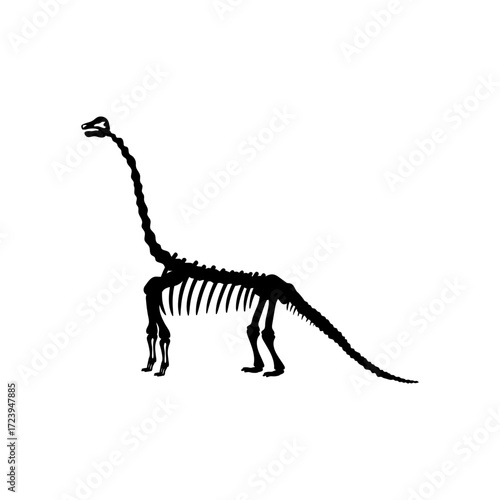 t rex dinosaur