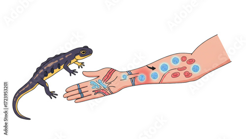 
Advanced Lizard Regeneration Therapy: Comprehensive Limb Regrowth and Healing Guide