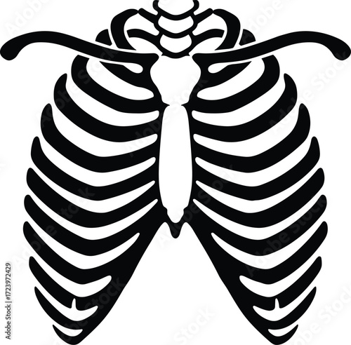Human ribcage vector illustration, anatomical skeleton design, black and white bones, medical clipart, thoracic cavity, sternum, clavicle, vertebrae, ribs