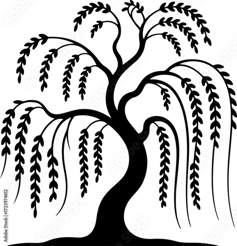 weeping willow tree silhouette Vector Art