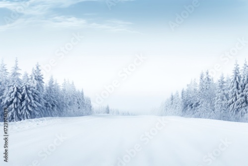 Wallpaper Mural Roads line horizontal border winter landscape nature. Torontodigital.ca