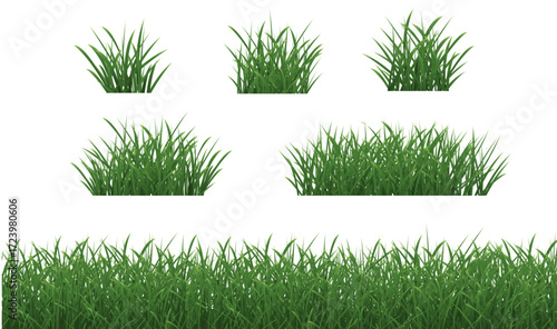 Grass Borders Set With Isolated White Background