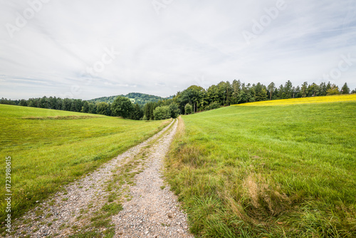 Landschaft im Höllbachtal im Naturschutzgebiet bei dem Rundwanderweg in Rettenbach bei Falkenstein in Bayern, Deutschland