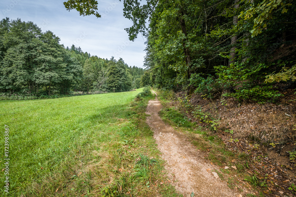 Fototapeta premium Landschaft im Höllbachtal im Naturschutzgebiet bei dem Rundwanderweg in Rettenbach bei Falkenstein in Bayern, Deutschland