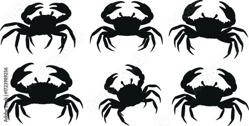 crab, animal, silhouette, marine, ocean, sea, icon, vector, illustration, black, white, claws, legs, shell, anatomy, behavior, wildlife, aquatic, design, symmetry
