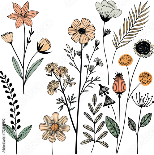 Hand drawn botanical illustration of wildflowers and ferns