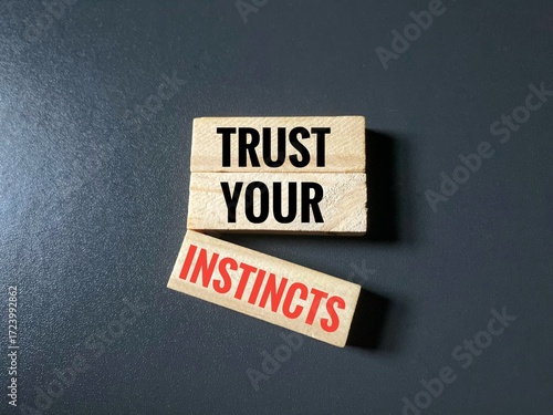 Toy blocks with written text Trust Your Instincts. 