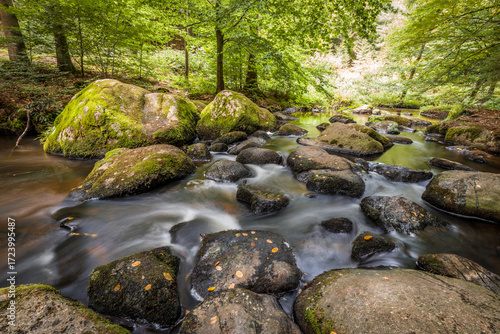 Der Höllbach Fluss im Naturschutzgebiet Höllbachtal bei dem Rundwanderweg in Rettenbach bei Falkenstein in Bayern, Deutschland
