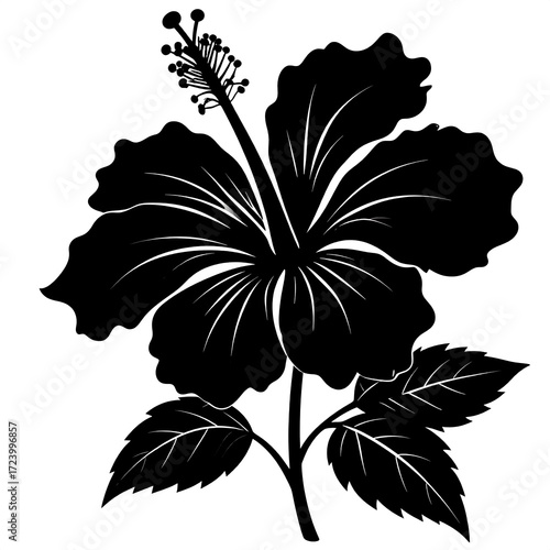 Black silhouette of a hibiscus flower