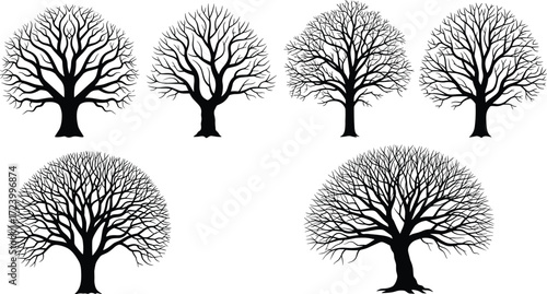Collection of six leafless tree silhouettes with unique branching patterns, natural forest vector illustration, isolated black trees for design elements