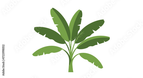 Stylized Banana Plant Illustration with Broad Green Leaves.