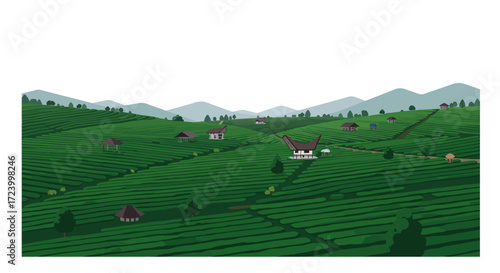 Lush Green Tea Plantation with Traditional Houses and Rolling Hills.