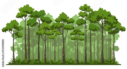 Dense Forest Illustration with Tall Trees and Green Foliage.