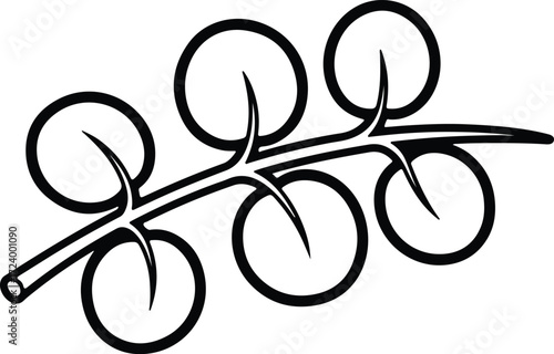 Vector Eucalyptus branch with leaves simple botanical silhouette design