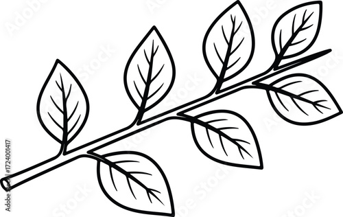 Vector Leaf branch botanical line art minimalist silhouette design
