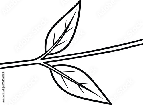 Vector Leaf outline design with stem and veins silhouette design