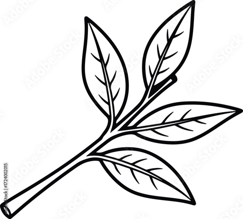 Vector Leafy branch outline with leaves botanical silhouette design