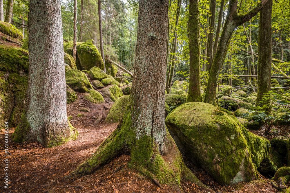 Naklejka premium Megalith Steine im Höllbachtal im Naturschutzgebiet bei dem Rundwanderweg in Rettenbach bei Falkenstein in Bayern, Deutschland