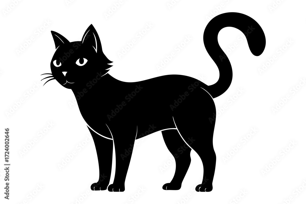 Obraz premium black and white cat