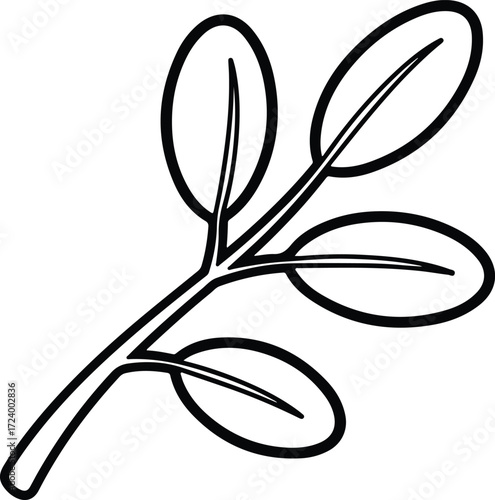 Vector Moringa branch with leaves simple outline style silhouette design