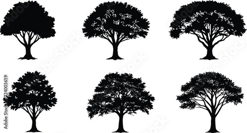 Set of five deciduous tree silhouettes with unique branching patterns, natural forest vector illustration, isolated black trees for design elements