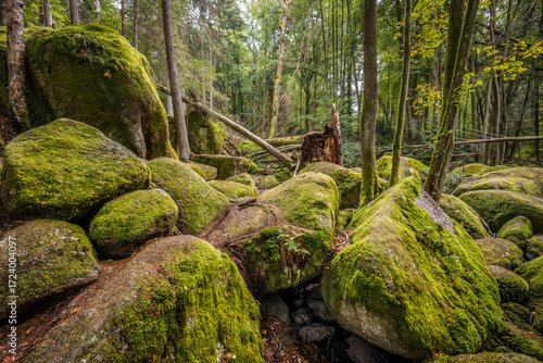Megalith Steine im Höllbachtal im Naturschutzgebiet bei dem Rundwanderweg in Rettenbach bei Falkenstein in Bayern, Deutschland