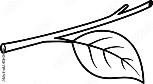 Vector Simple tree branch with leaf botanical silhouette design