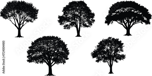 Set of five deciduous tree silhouettes with unique branching patterns, natural forest vector illustration, isolated black trees for design elements