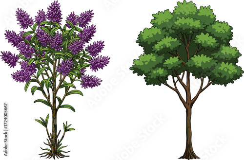 Flowering Shrub and Tall Green Tree Side by Side for Nature, Botany, Landscape, Seasonal Contrast, and Environmental Concept Themes